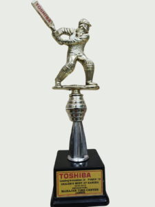 Toshiba Leading Award